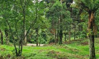 Imagem: Terreno em São Francisco de Paula!