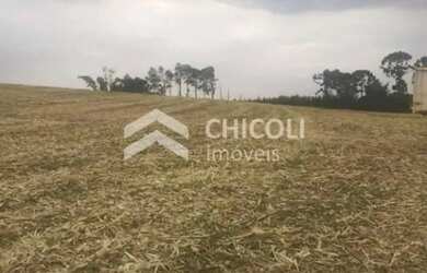 Imagem 3: Residencial Lote/Terreno em