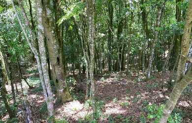 Imagem 6: CHÁCARA ENCANTADORA ENTRE CURITIBA E CAMPO LARGO COM BENFEITORIAS!!