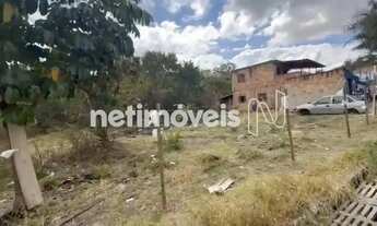 Imagem 7: Venda Lote-Área-Terreno Palmeiras (Parque Durval de Barros) Ibirité