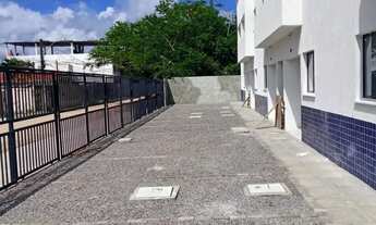 Imagem: Vendo repasse em pau amarelo