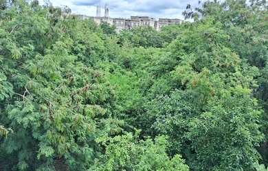 Imagem 4: Vendo apartamento quitado pr motivo de saúde, oportunidade unica