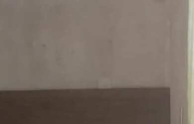 Imagem 7: Vendo excelente casa em Coelho da Rocha aceito propostas (LEIA A DESCRIÇÃO