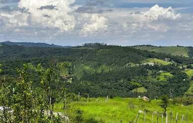 Imagem 5: Oportunidade Única: Lotes de 1000m² em São Roque SP