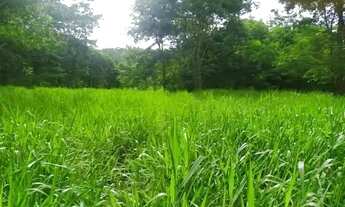 Imagem 2: Sitio c/ 100he (Escriturado), Terra de Cultura, Agrovila da Palmeiras-MT