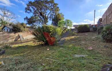 Imagem 4: Terreno amplo de 432 m à venda em Campo Largo Próximo à HD Distribuidora