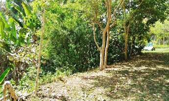 Imagem 6: Chacrinha 36 mil m2 em Piracaia SP