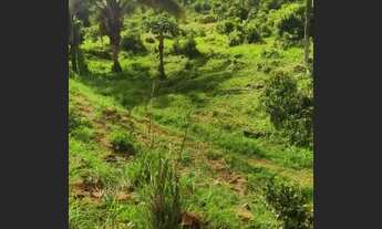 Imagem 6: Fazenda em Aparecida do Rio Negro. 67 mil o alqueire