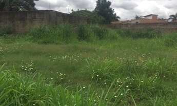 Imagem: ÁREA PARQUE AMAZONAS