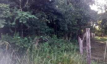 Imagem 6: Vendo Chácara em Bonito 35km da cidade