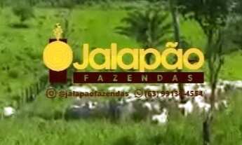 Imagem 6: Fazenda no Tocantins