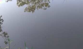 Imagem 7: Sitio Chácara com venda por R$40.000