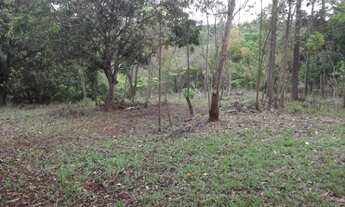 Imagem 3: Terreno 27 ha terra de cultivo, água de nascente, documentada, Santa Luzia