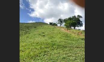 Imagem 2: Terreno com Pimenta e café