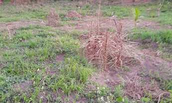 Imagem 2: Sítio medindo 50 de frente por 60 de fundo