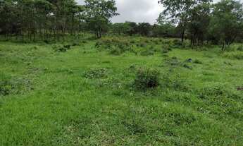 Imagem 5: FAZENDINHAS RURAIS em Fortuna de Minas