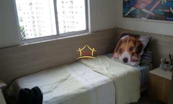 Imagem 6: BELO HORIZONTE - Padrão - Paquetá