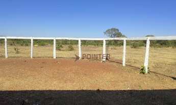 Imagem: Fazenda à venda, 561 hectares por R$ 7.100.000
