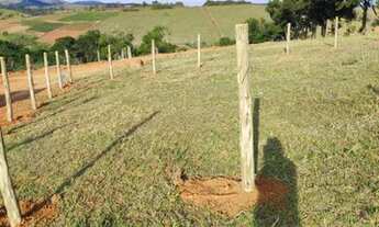 Imagem: R4-Vende-se esses terrenos!