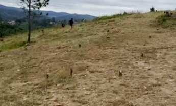 Imagem 5: TK Invista no futuro da família!Monte sua chácara!