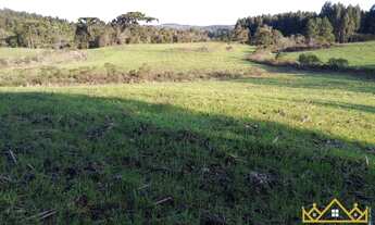 Imagem 2: Sítio / Chácara para Venda em Três Coroas, Serra Grande