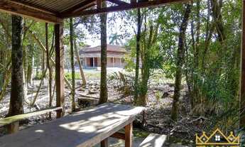 Imagem 2: Sítio / Chácara para Venda em Santa Maria do Herval, Canto Becker, 2 dormitórios, 3 banhei