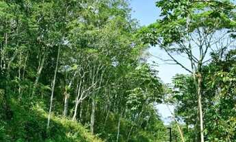 Imagem 3: ITAJAí - Terreno Padrão - Praia Brava