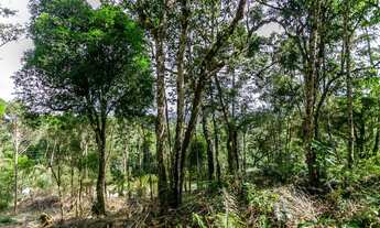 Imagem 7: Terreno em Piraquara - ARYA 1