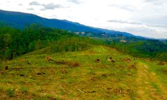 Imagem 4: Imóvel para venda tem 1000 metros quadrados em Barreiro - Mairiporã - São Paulo