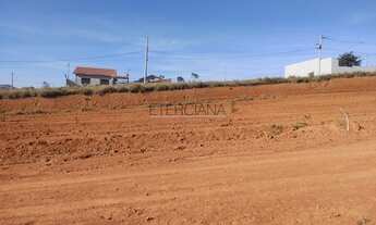 Imagem 6: BORDA DA MATA - Terreno Padrão - Santa Cruz