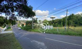 Imagem 5: Terreno ZR1 com 15m de frente em região de alto padrão