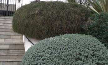 Imagem: Apartamento com 3 dormitórios, 190 m²