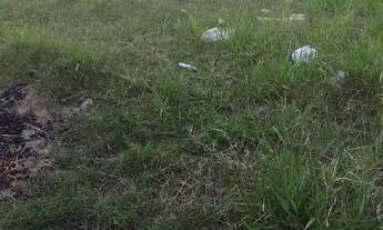 Imagem 2: EXCELENTE LOTE DE 453,40 M2 EM CONCEICAO DO CASTELO