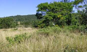 Imagem 2: Excelente sítio em Iguaba Grande R$220.000