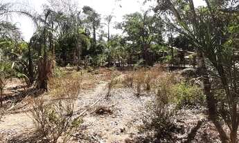 Imagem 5: Chácara para vender em planaltina Df