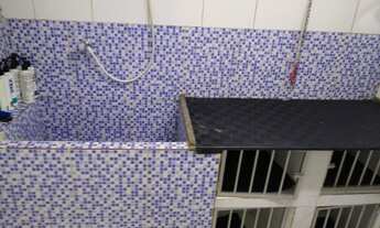 Imagem 3: Consultorio veterinario e Pet Shop