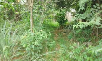 Imagem 5: Chácara Chácara com venda por R$150.000