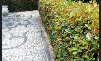 Imagem 4: APARTAMENTO NO CORDEIRO