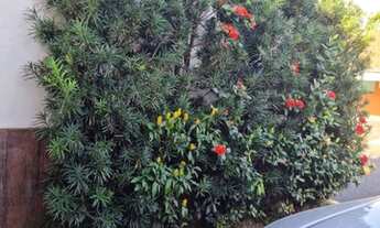 Imagem 4: Casa para Venda - Taiaman, UBERLÂNDIA - 2 vagas