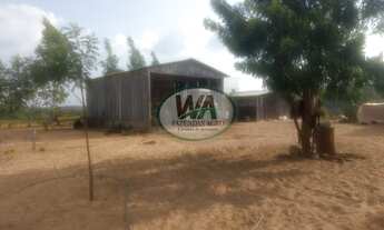 Imagem 4: Fazenda com preço de oportunidade em Recursolândia- TO