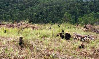 Imagem 3: Vendo terreno de 1000m² próximo a Guarulhos