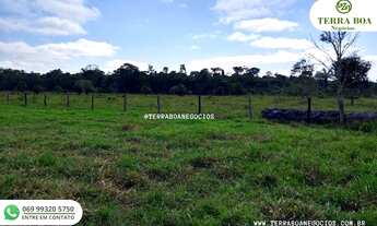 Imagem 3: SÍTIO 42 ALQUEIRES 30 ALQUEIRES EM PASTO APÓS NOVA MUTUM/RONDÔNIA