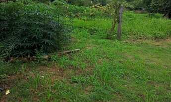 Imagem 6: Excelente chácara na cidade