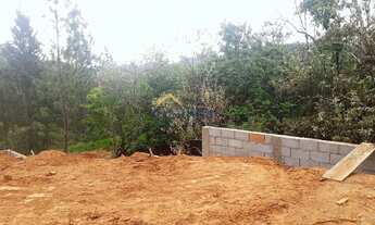 Imagem 5: Terreno - Joaquim Egídio - Campinas