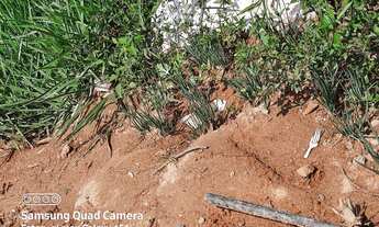 Imagem 2: Terreno abençoado 5x20