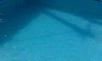 Imagem: Alugar casa e pau amarelo