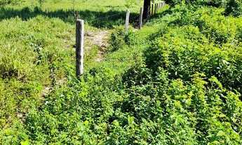 Imagem 5: Vendo terreno na estrada da produção