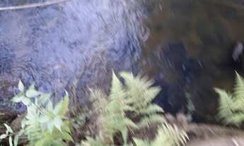 Imagem 2: Chácara Barra das Cruzes Bocaiúva do Sul - PR