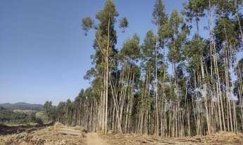 Imagem 2: D7- Agende uma visita