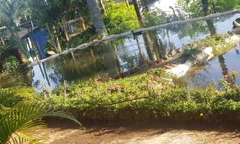 Imagem 3: Chácara para venda no Miranda